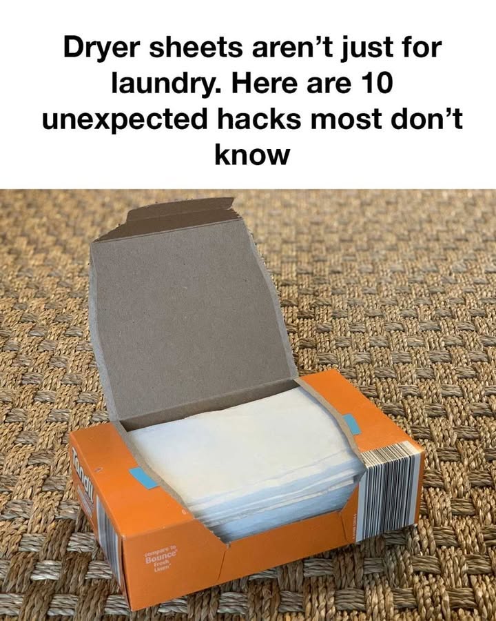 621638002_1338984354939608_5750991387687830458_n 621638002_1338984354939608_5750991387687830458_n