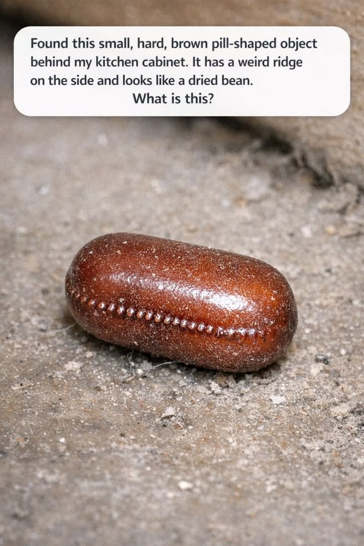676936646_1409136757924367_7406864803393258459_n