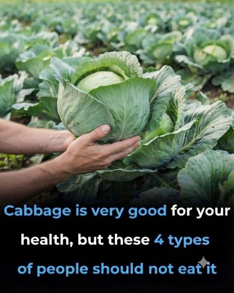 762689827_1510017657837471_1323005634473150335_n