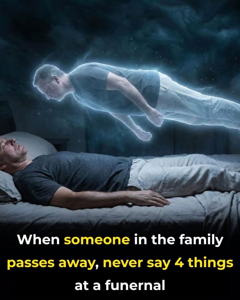 763861525_1509021381270432_6238325151920008685_n